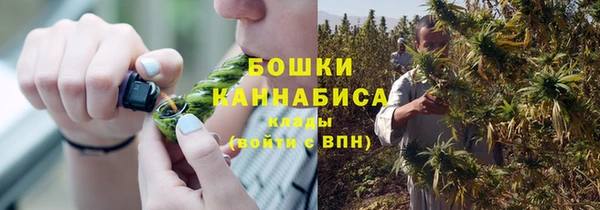 крисы Нязепетровск