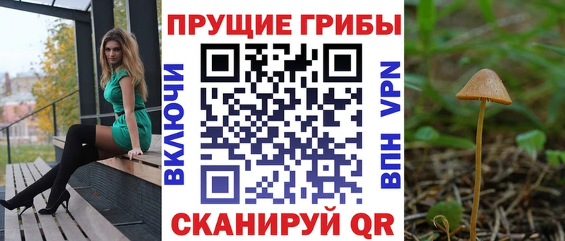Псилоцибиновые грибы Psilocybe  это телеграм  Боровск 